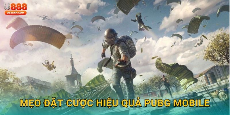 Mẹo đặt cược hiệu quả PUBG Mobile