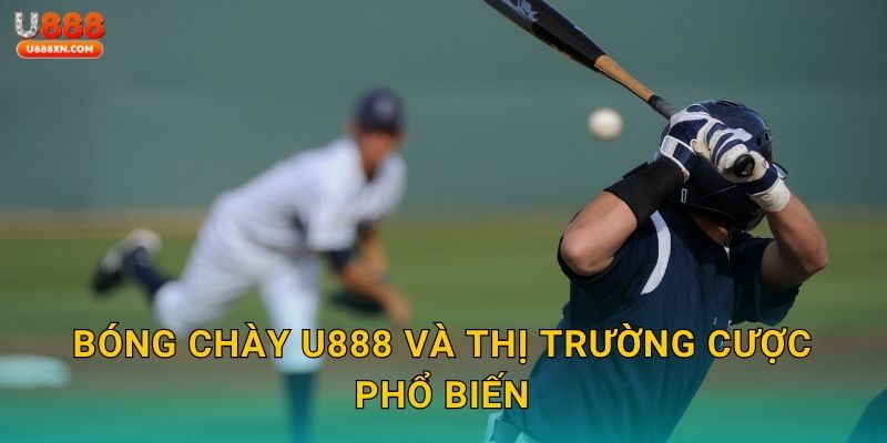 Bóng chày U888 và thị trường cược phổ biến