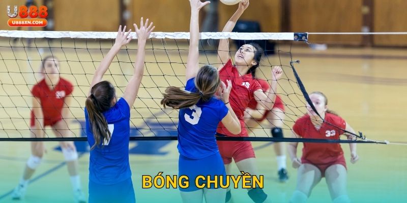 Bóng chuyền hấp dẫn – Nâng tầm kỹ năng cá cược tại U888