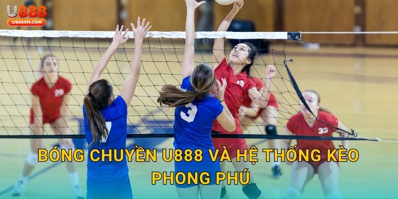 Bóng chuyền hấp dẫn – Nâng tầm kỹ năng cá cược tại U888 2 Bóng chuyền U888 và hệ thống kèo phong phú
