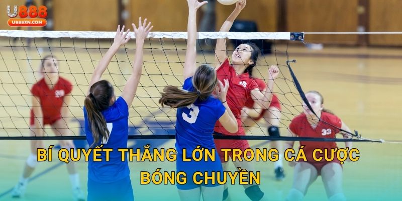 Bóng chuyền hấp dẫn – Nâng tầm kỹ năng cá cược tại U888 3 Bí quyết thắng lớn trong cá cược bóng chuyền