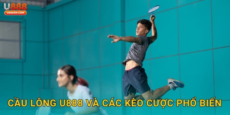 Cầu lông U888 và các kèo cược phổ biến