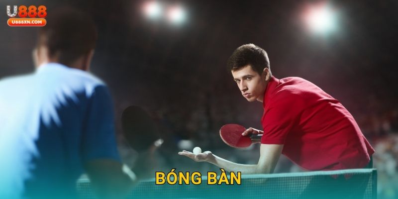 Bóng bàn gay cấn – Cược linh hoạt từng pha bóng tại U888