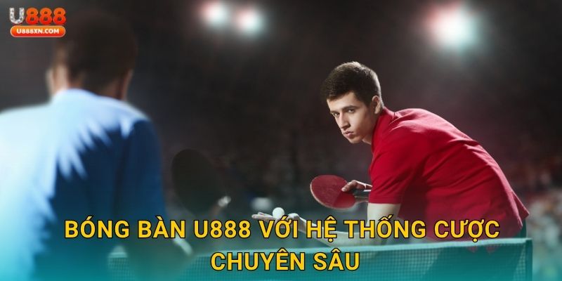 Bóng bàn U888 với hệ thống cược chuyên sâu