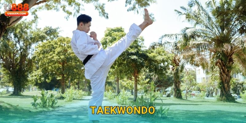 Taekwondo mạnh mẽ – Nắm bắt cơ hội thắng lớn tại U888 16 Taekwondo mạnh mẽ – Nắm bắt cơ hội thắng lớn tại U888